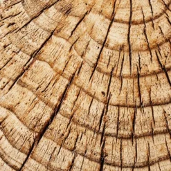 Indoor/Outdoor Faux Concrete Stump Accent Table Brown - Threshold™ Designed With Studio McGee 9 Indoor/Outdoor Faux Concrete Stump Accent Table Brown - Threshold™ Designed With Studio McGee -Cheap Home Shop GUEST 03deabfd 2b62 4725 94b4 09a321ea8678