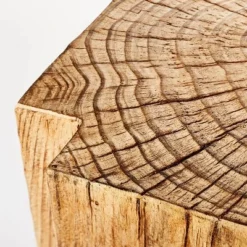 Indoor/Outdoor Faux Concrete Stump Accent Table Brown - Threshold™ Designed With Studio McGee 8 Indoor/Outdoor Faux Concrete Stump Accent Table Brown - Threshold™ Designed With Studio McGee -Cheap Home Shop GUEST 0507ce42 1b4d 418a 858c 11fe1ac459fe